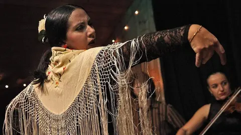 691806-flamenco-594272_1920