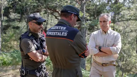 El consejero Novillo ha supervisado hoy esta actividad realizada por el Grupo de Intervenci&oacute;n en Altura del Cuerpo de Agentes Forestales - Foto Comunidad de Madrid