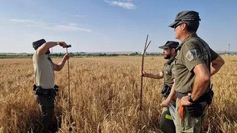 Prevenci&oacute;n incendios forestales - Foto Comunidad de Madrid