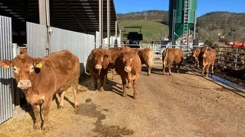 ASAJA exige suspender las importaciones de carne de Brasil por el uso de hormonas ilegales en la Uni&oacute;n Europea - Foto de ASAJA