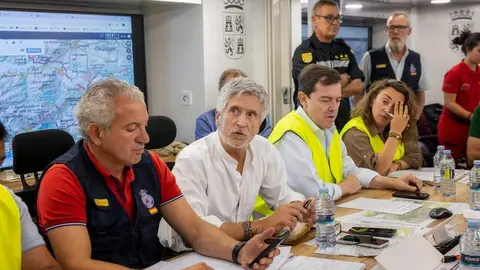 Marlaska, durante la reuni&oacute;n del Cecod | Foto del Ministerio del Interior