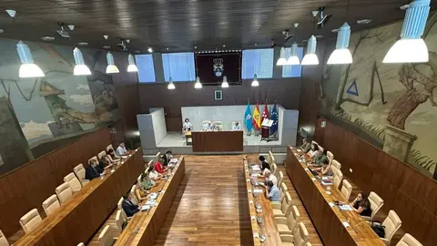 El Pleno de Legan&eacute;s aprueba destinar 1,3 millones de euros para renovar contenedores, papeleras y bancos - Foto del Ayuntamiento de Legan&eacute;s