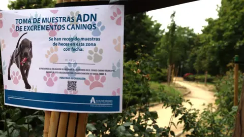 Alcal&aacute; intensifica el control sobre deyecciones caninas con nuevas campa&ntilde;as de ADN en Ciudad 10 - Foto del Ayuntamiento de Alcal&aacute; de Henares