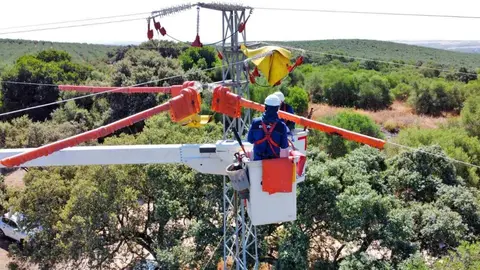 Endesa ensaya nuevas tecnolog&iacute;as y materiales para evitar la electrocuci&oacute;n y colisi&oacute;n de aves en sus redes - Foto de Endesa