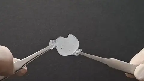 Las nanoestructuras 3D-PVDF autoportantes conservaron su flexibilidad mec&aacute;nica tras las pruebas al aire libre (tratamiento UV), sin mostrar signos de fragilizaci&oacute;n ni agrietamiento / IMN-CSIC