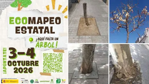 M&aacute;s de 160 asociaciones se unen para realizar un mapeo sobre el estado del arbolado urbano en Espa&ntilde;a - Cartel de la iniciativa y fotos de Ecologistas en Acci&oacute;n