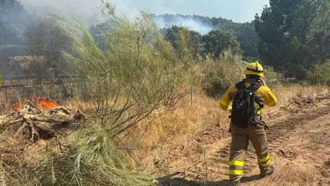 Incendio de Aldea del Fresno