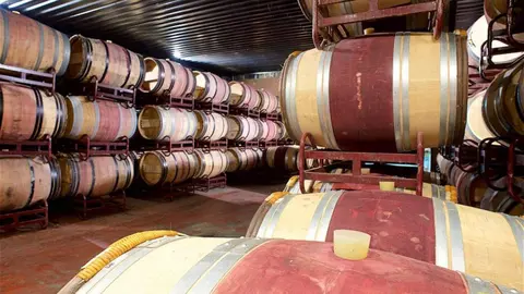 La Comunidad de Madrid culmina la adecuaci&oacute;n de seis bodegas rurales