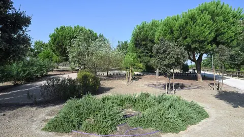 Imagen de la zona de parque forestal donde conviven diferentes especies