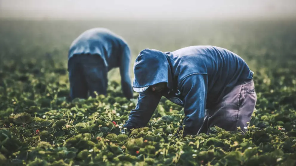 inmigraci&oacute;n inmigrantes trabajo