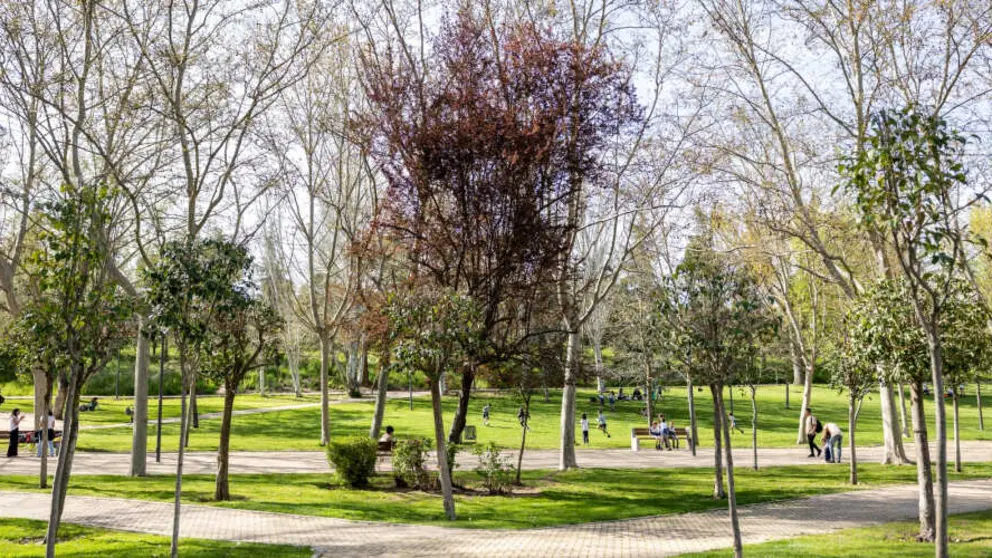 Parques de Pozuelo de Alarc&oacute;n - Foto del Ayuntamiento de Pozuelo
