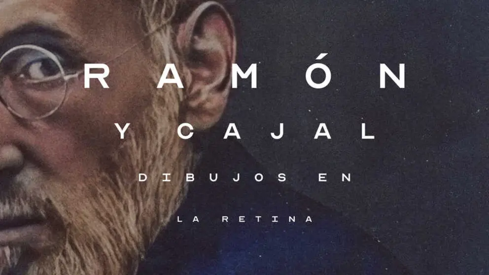 Ram&oacute;n y Cajal dibujos en la retina - Poster baja