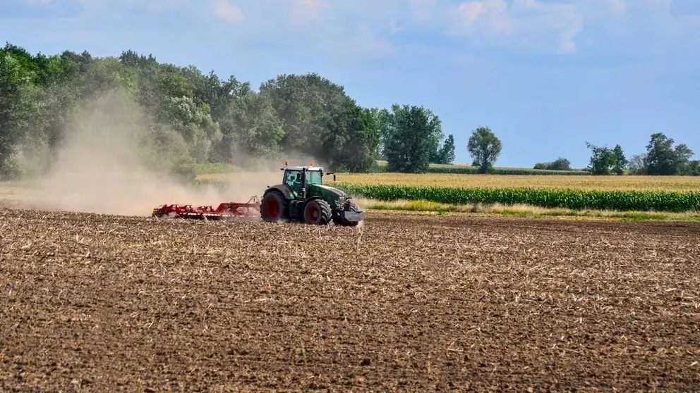 El informe aporta evidencia cient&iacute;fica para dise&ntilde;ar la futura PAC. / Pixabay