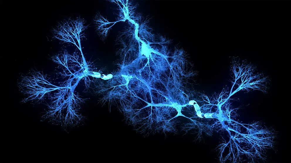 Holograma del sistema de neuronas. iStock
