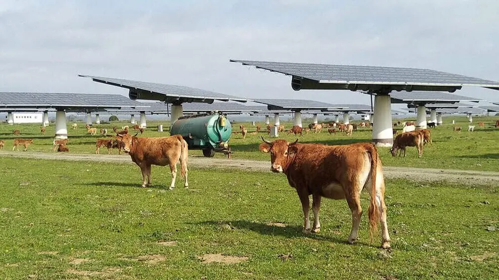 Velto Renewables blinda su estrategia en Espa&ntilde;a con una refinanciaci&oacute;n de 800 millones de euros - Foto de Velto Renewables