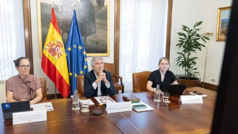 Fernando Grande-Marlaska, durante su intervenci&oacute;n en la videoconferencia - Foto Ministerio del Interior