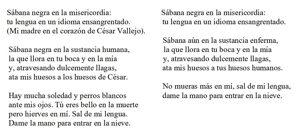 Armando López Castro 3