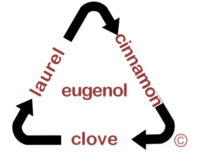 Eugenol - ©Hosanna Peña & Ricardo De Arrúe
