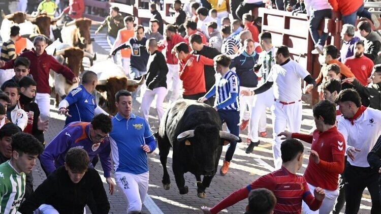 encierro en honor a San Sebastián Mártir - Ayuntamiento San Sebastián de los Reyes