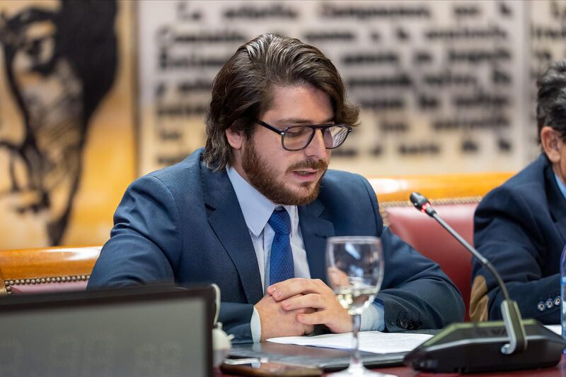 Marcel Mastroianni, politólogo y activista venezolano