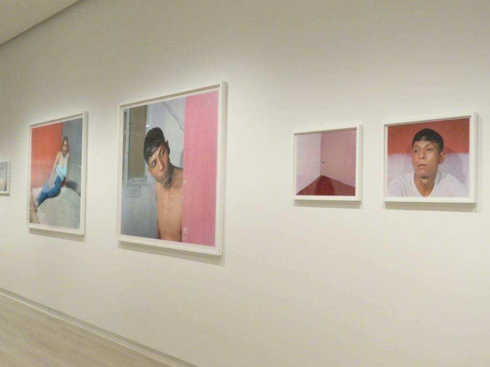 Exposición Felipe Romero Beltrán. Bravo