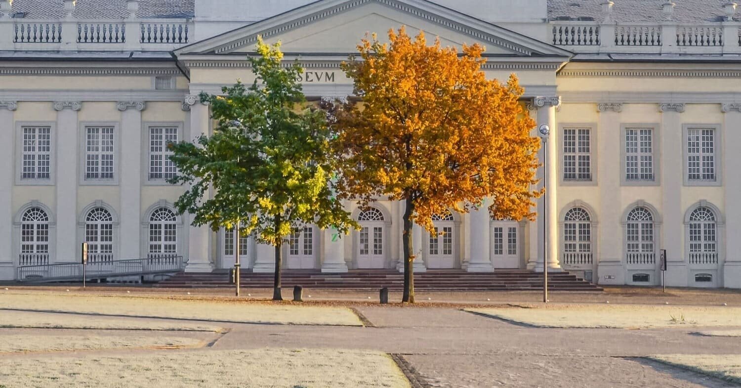 LOS-ROBLES-PLANTADOS-POR-JOSEPH-BEUYS-DELANTE-DEL-MUSEO-FRIDERICIANUM.-KASSEL (1) (1) (1)