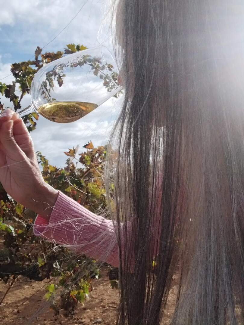 Vino y Alma Mía
