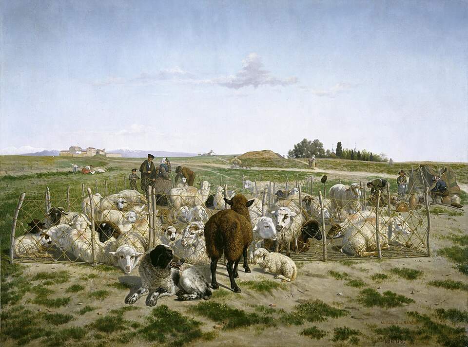 Un redil de ovejas extramuros de la Puerta de Bilabo - Oleo de Mariano de la Roca de 1862 - Museo del Prado 
