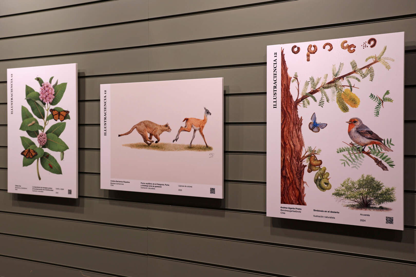 Exposición Illustraciencia 12 - Foto del Museo Nacional de Ciencias Naturales