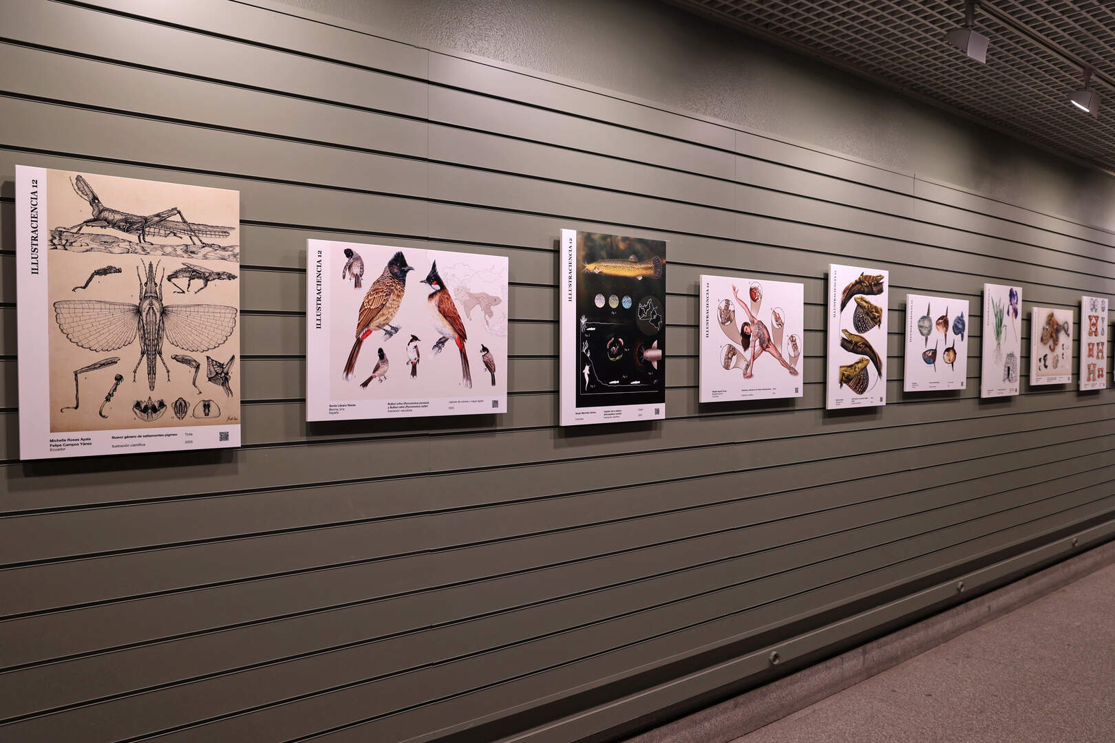 Exposición Illustraciencia 12 - Foto del Museo Nacional de Ciencias Naturales