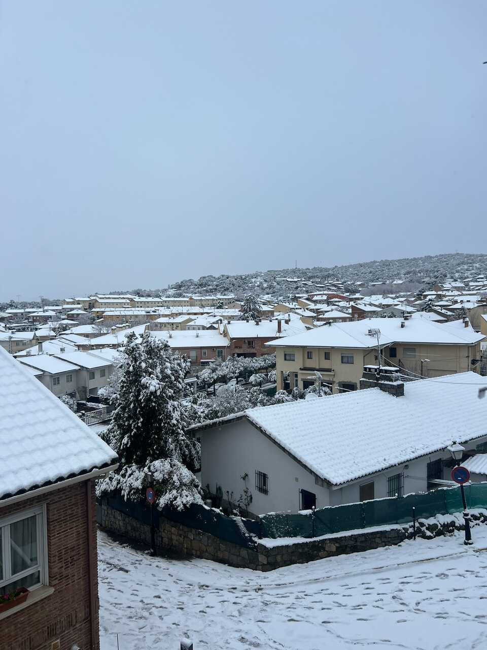 Nevada en Navalagamella 28 de enero 2026 - Foto de Rodrigo Callejo (2)