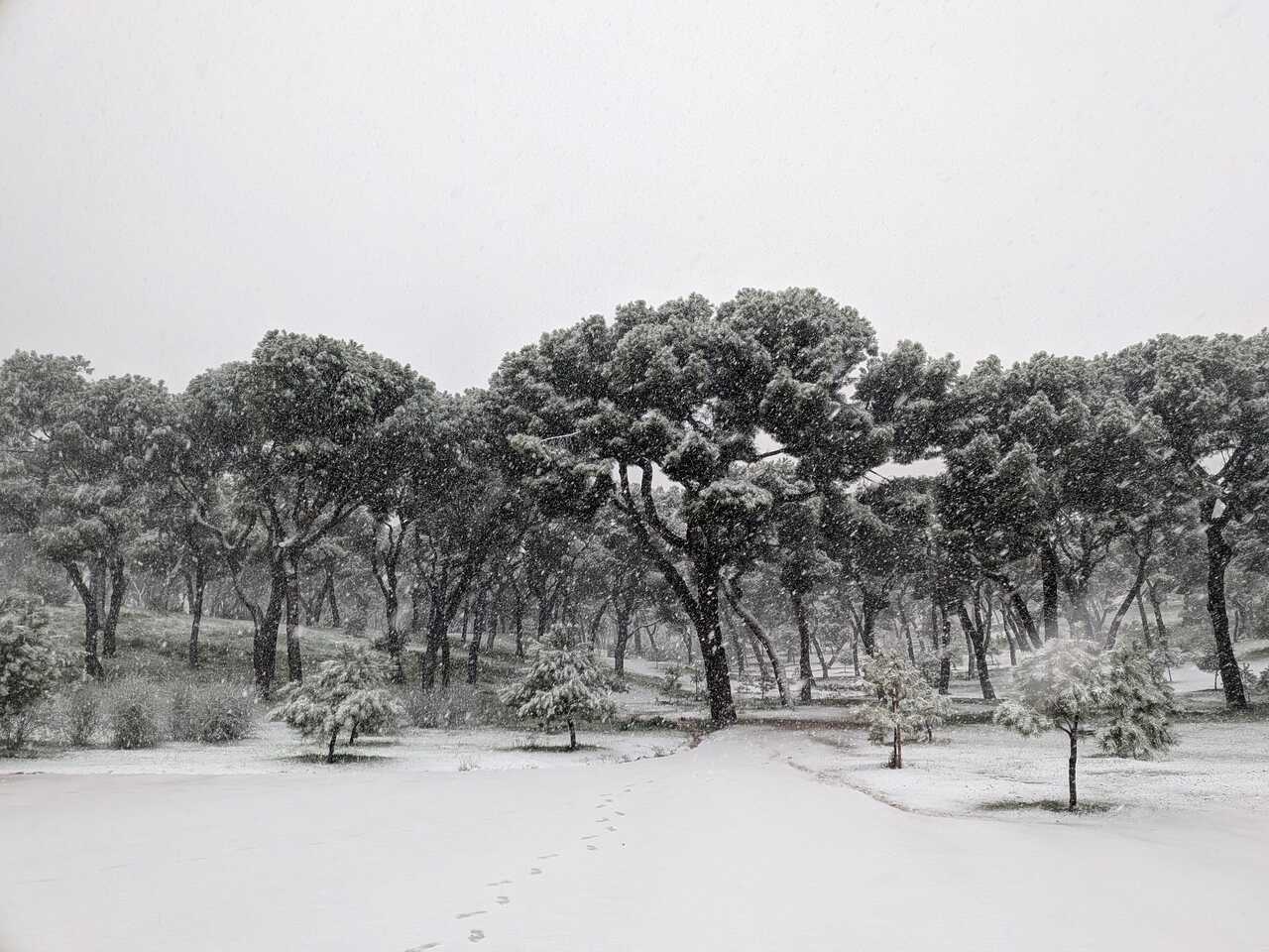 Foto de C@RdWiEñ @arrohconpollo en X