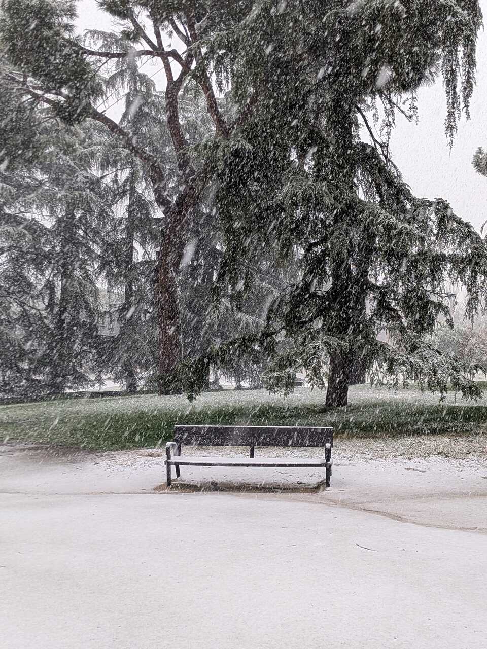 Parque del Oeste - Foto de Carmen Moyano - en X