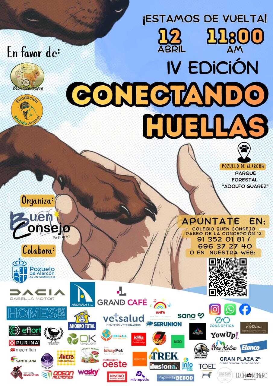Cartel Carrera Conectando huellas - Imagen del Ayuntamiento de Pozuelo de Alarcón
