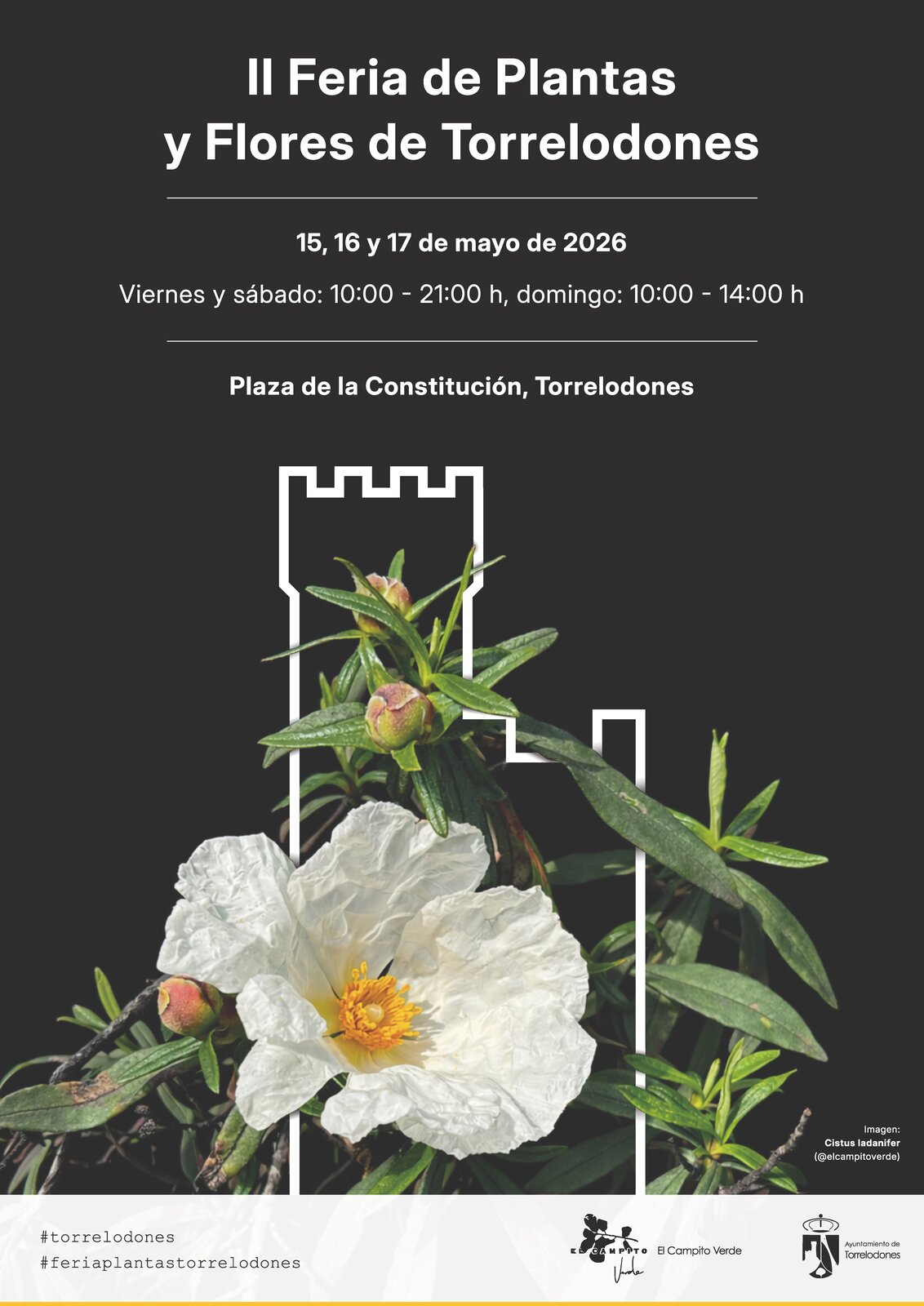 II Feria de Plantas y Flores - Foto del Ayuntamiento de Torrelodones