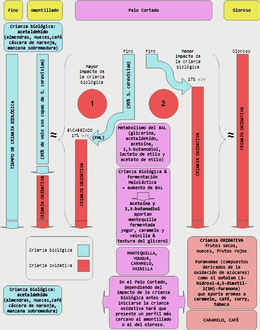 Elaboración Palo Cortadoo