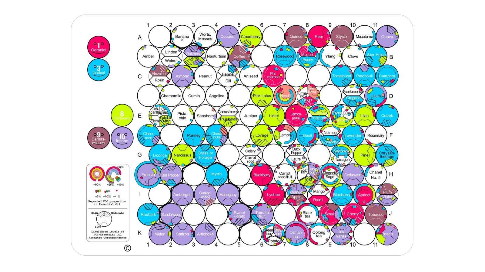 Mapa WineSom autor Dr. De Arrúe- Hosanna Peña